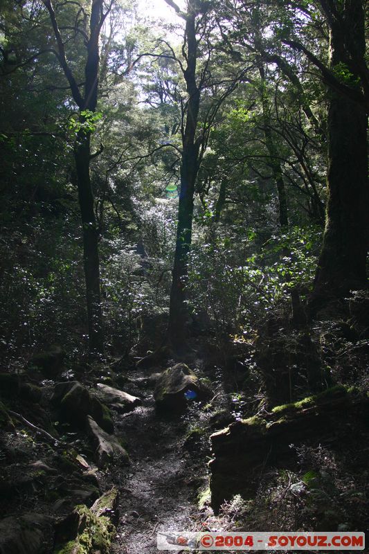 Abel Tasman National Park - Harwood Hole
