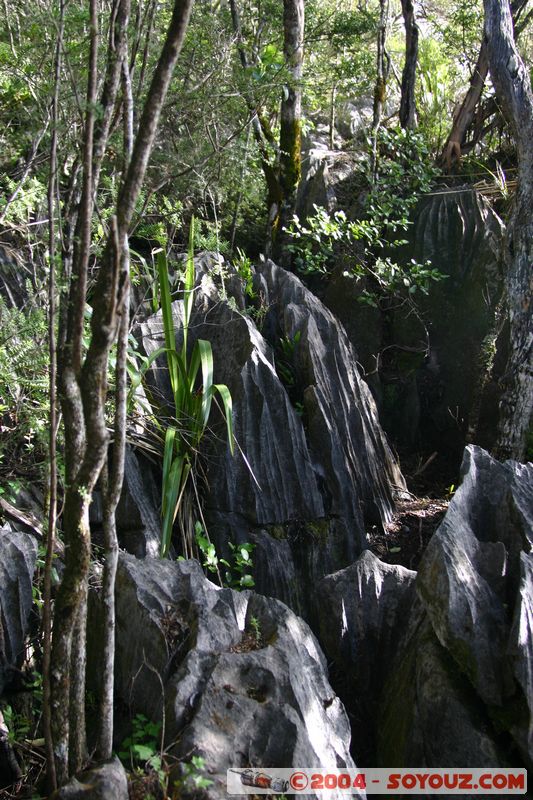 Abel Tasman National Park - Harwood Hole
Mots-clés: New Zealand South Island