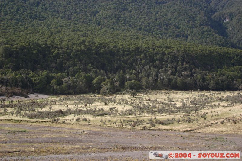 Along State Highway 7
Mots-clés: New Zealand South Island Arbres