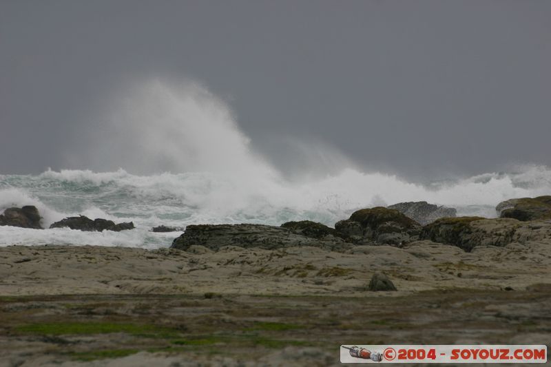 Kaikoura
Mots-clés: New Zealand South Island mer