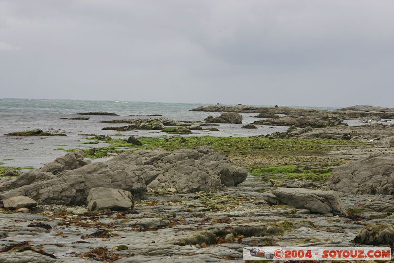 Kaikoura
Mots-clés: New Zealand South Island