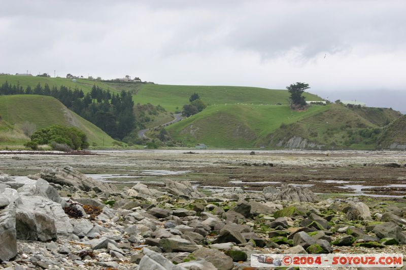 Kaikoura
Mots-clés: New Zealand South Island