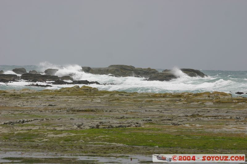 Kaikoura
Mots-clés: New Zealand South Island mer