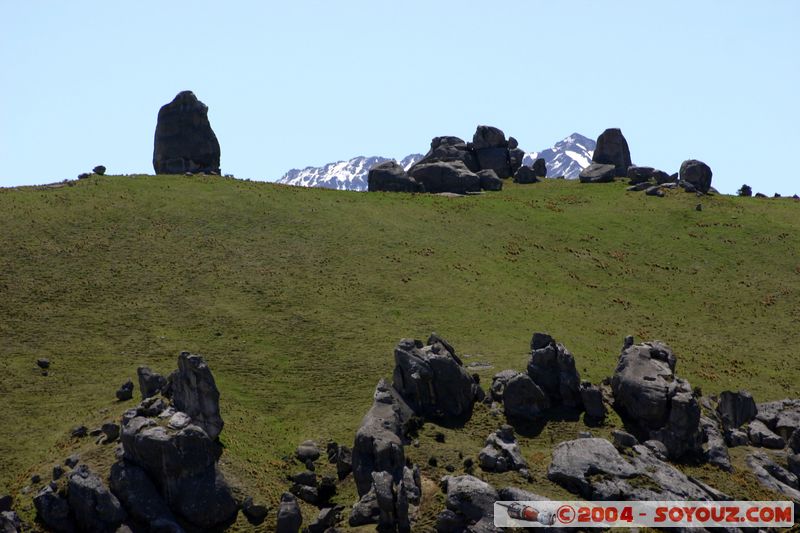 Craigieburn Forest Park
Mots-clés: New Zealand South Island