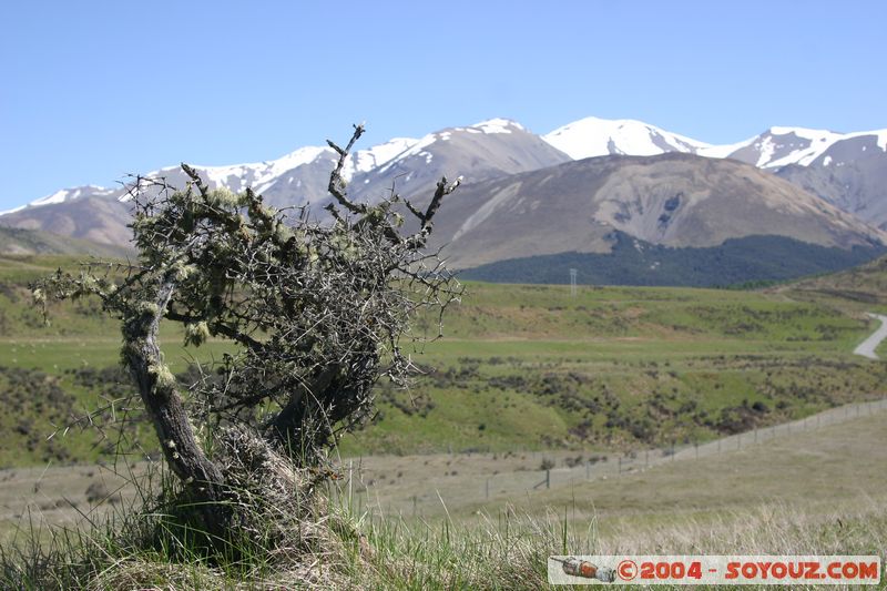 Cave Stream Scenic Reserve
Mots-clés: New Zealand South Island Montagne Arbres