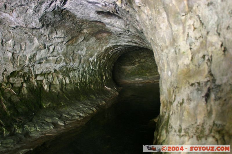 Cave Stream Scenic Reserve - Cave Outlet
Mots-clés: New Zealand South Island grotte