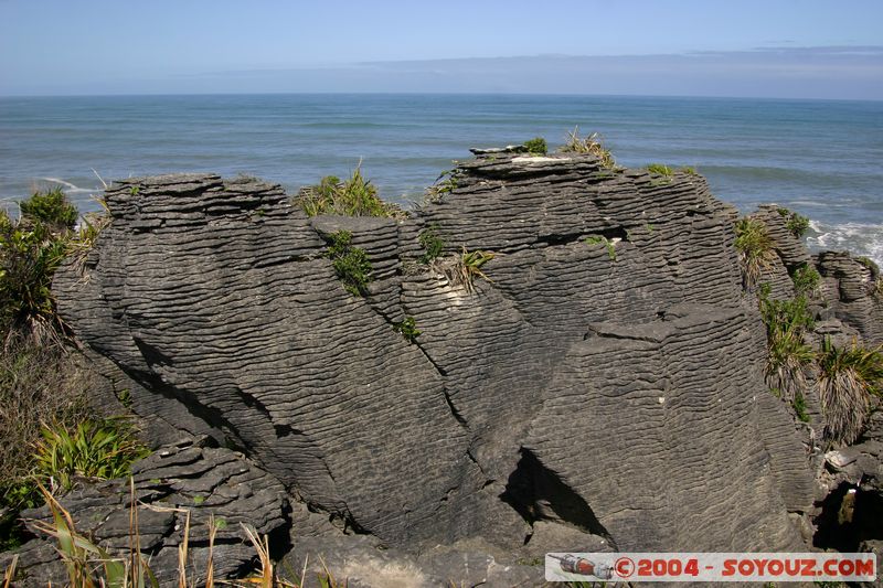 Punakaiki
Mots-clés: New Zealand South Island