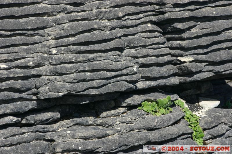 Punakaiki
Mots-clés: New Zealand South Island