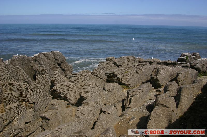 Punakaiki
Mots-clés: New Zealand South Island