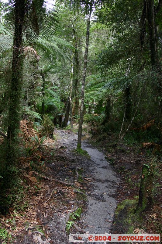 Hokitika Gorge
Mots-clés: New Zealand South Island