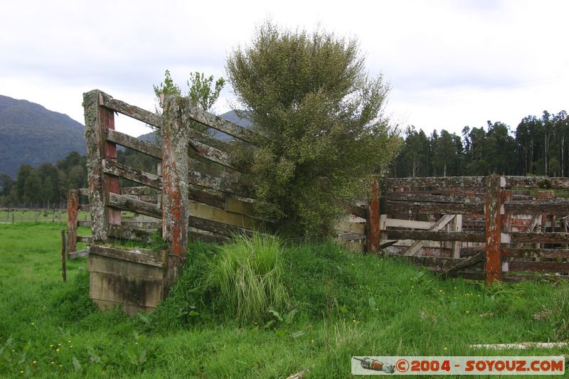 Hokitika
Mots-clés: New Zealand South Island Bois