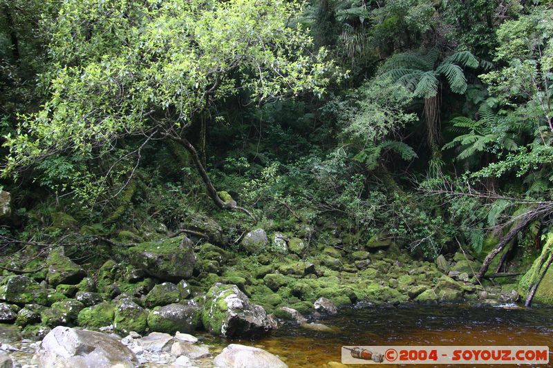 Hokitika - Dorothy Falls
Mots-clés: New Zealand South Island