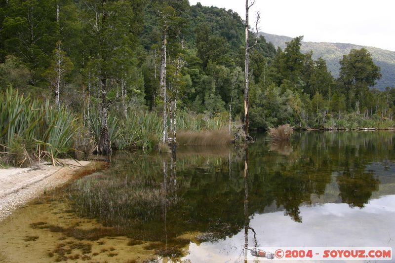 Hokitika - Lake Kaniere
Mots-clés: New Zealand South Island Lac