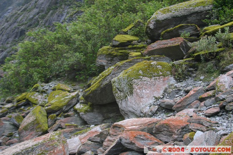 Franz Josef Glacier
Mots-clés: New Zealand South Island patrimoine unesco