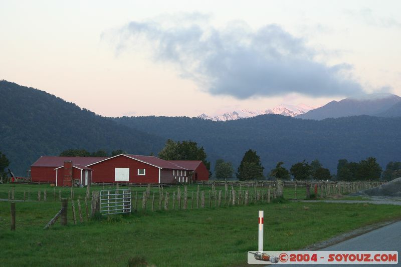 Fox Glacier - Near the coast - Farm
Mots-clés: New Zealand South Island