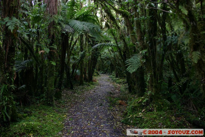 Fox Glacier
Mots-clés: New Zealand South Island patrimoine unesco