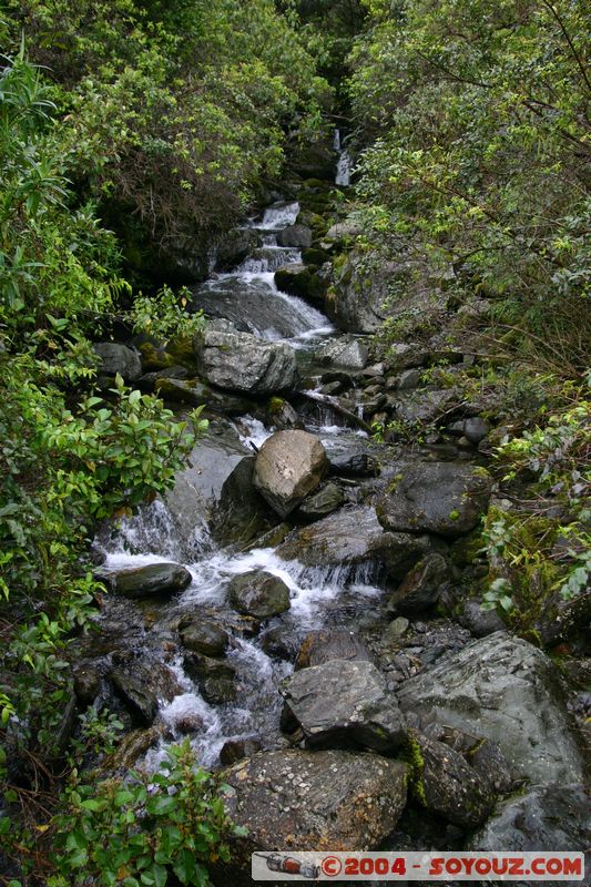 Fox Glacier
Mots-clés: New Zealand South Island Riviere patrimoine unesco