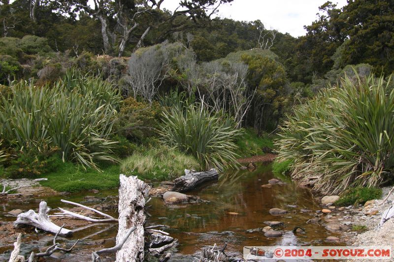 Monro Beach
Mots-clés: New Zealand South Island