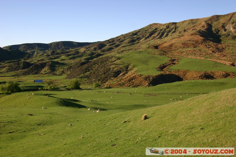 State Highway 6 - Kingston to Mossburn
Mots-clés: New Zealand South Island animals Mouton