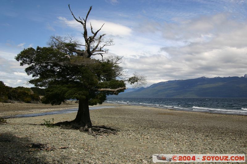 Te Anau / Milford Highway - Lake Te Anau
Mots-clés: New Zealand South Island Lac