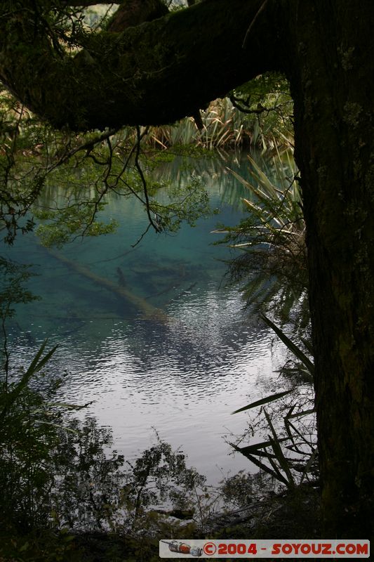 Te Anau / Milford Highway - Knobs Flat
Mots-clés: New Zealand South Island Lac patrimoine unesco