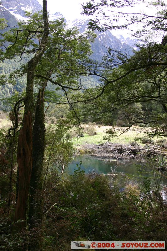 Te Anau / Milford Highway - Knobs Flat
Mots-clés: New Zealand South Island Lac patrimoine unesco