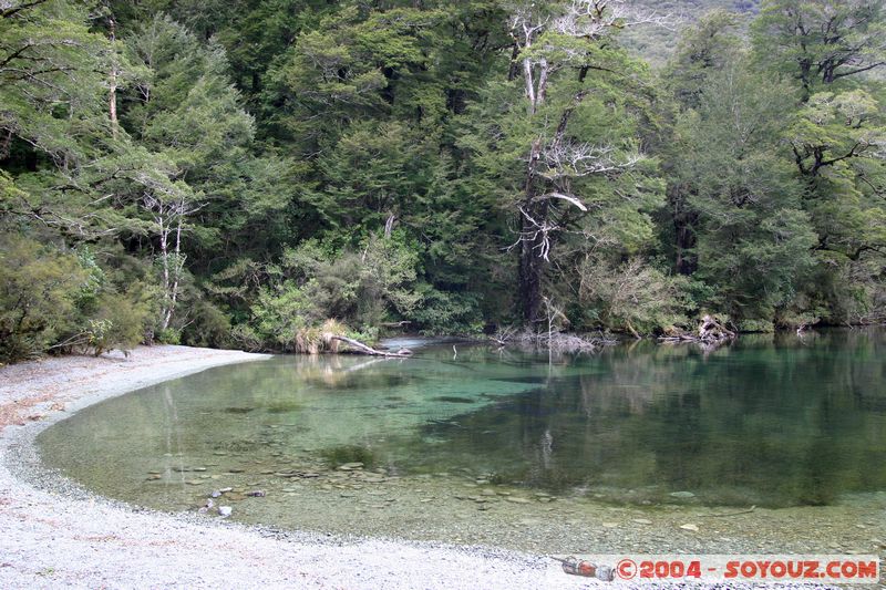 Te Anau / Milford Highway - Lake Gunn
Mots-clés: New Zealand South Island Lac patrimoine unesco