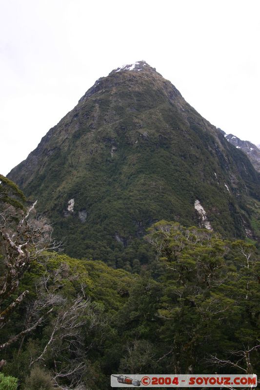 Te Anau / Milford Highway - The Divide
Mots-clés: New Zealand South Island patrimoine unesco