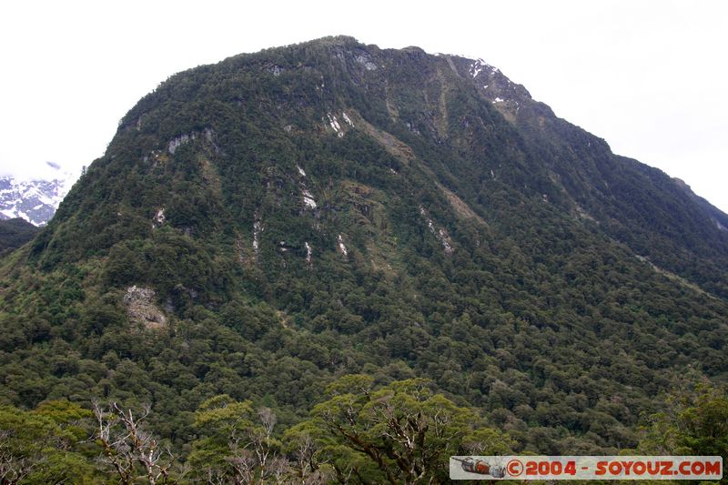 Te Anau / Milford Highway - The Divide
Mots-clés: New Zealand South Island patrimoine unesco