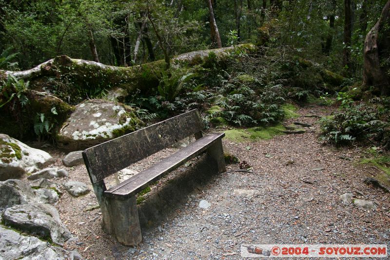 Te Anau / Milford Highway
Mots-clés: New Zealand South Island patrimoine unesco