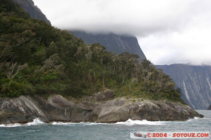 Milford Sound - Dale Point
Mots-clés: New Zealand South Island patrimoine unesco Montagne