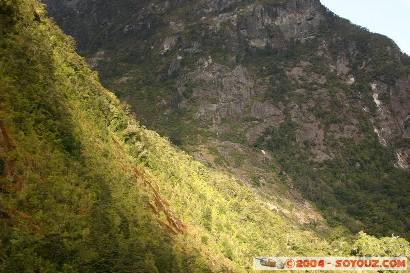 Milford Sound
Mots-clés: New Zealand South Island patrimoine unesco Montagne