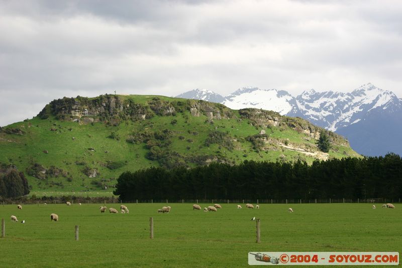 Southern Scenic Road - Sheeps
Mots-clés: New Zealand South Island animals Mouton Montagne