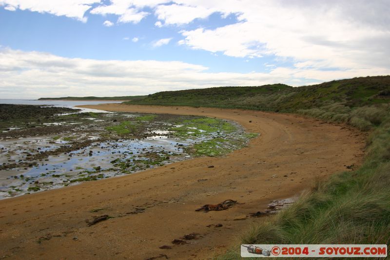 The Catlins - Waipapa point
Mots-clés: New Zealand South Island mer