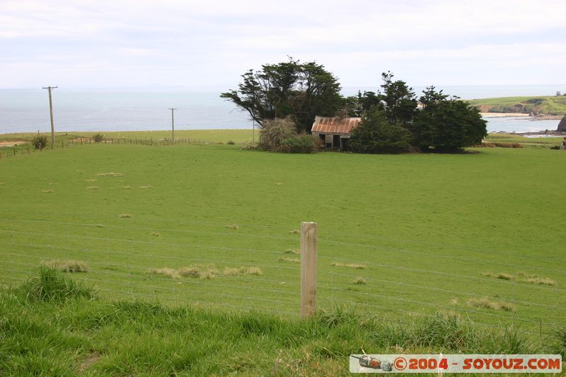 The Catlins - Slope Point
Mots-clés: New Zealand South Island