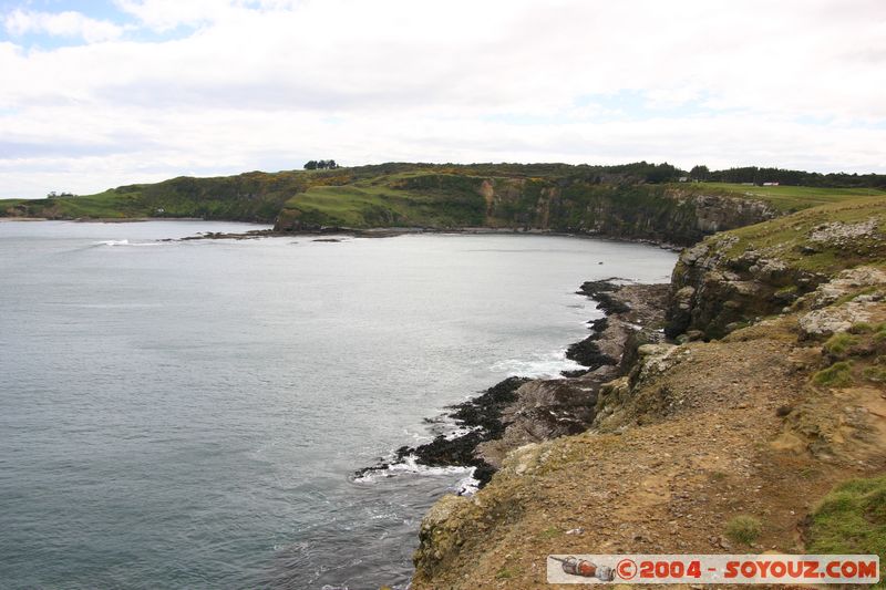 The Catlins - Slope Point
Mots-clés: New Zealand South Island mer