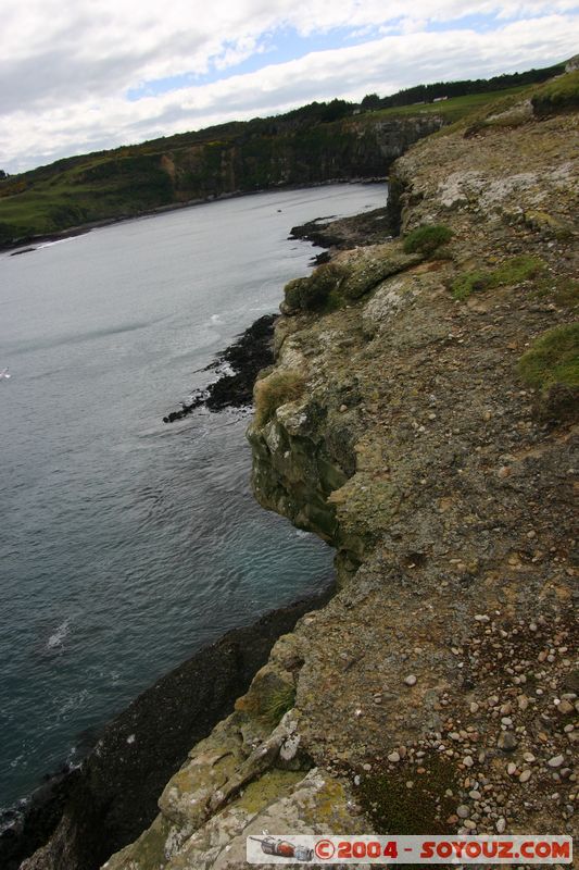 The Catlins - Slope Point
Mots-clés: New Zealand South Island mer