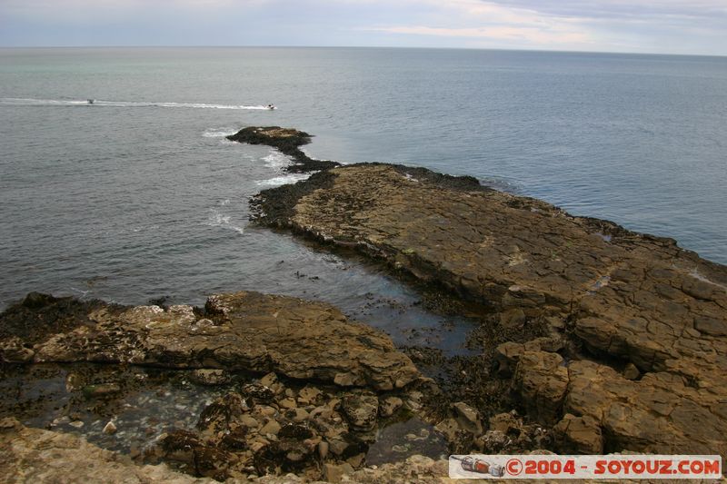 The Catlins - Slope Point
Mots-clés: New Zealand South Island mer