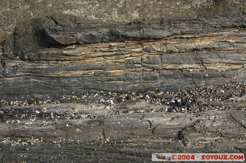 The Catlins - Curio Bay - Fossil Forest
Mots-clés: New Zealand South Island Fossile