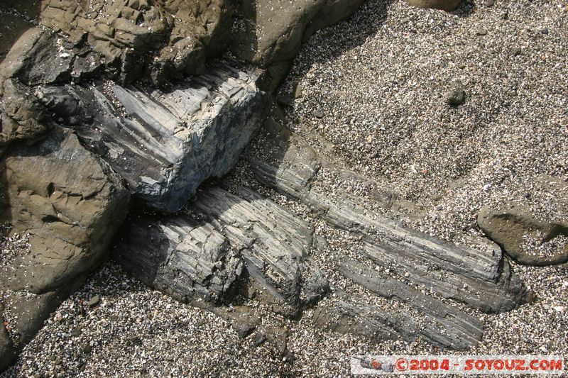 The Catlins - Curio Bay - Fossil Forest
Mots-clés: New Zealand South Island Fossile