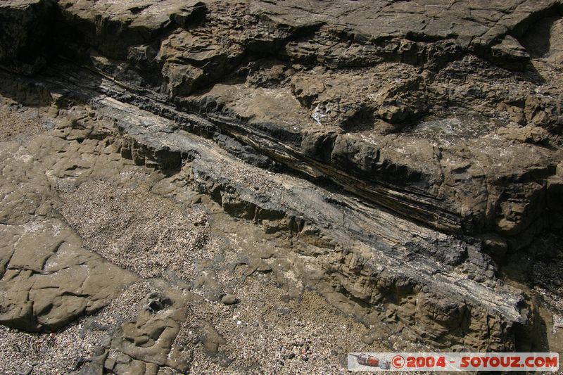 The Catlins - Curio Bay - Fossil Forest
Mots-clés: New Zealand South Island Fossile