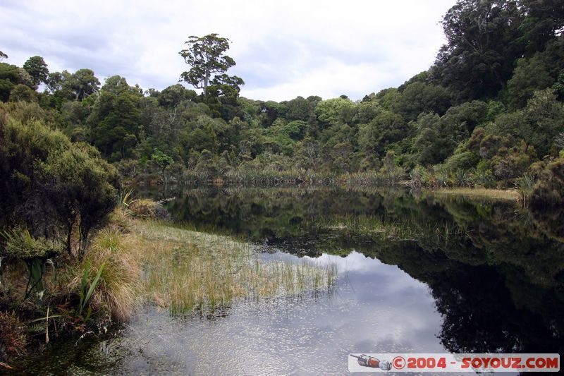 The Catlins - Lake Wilkie
