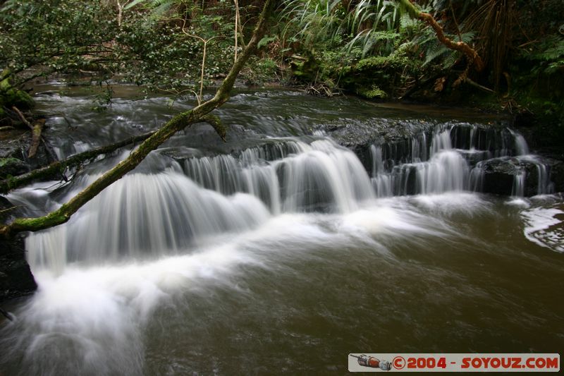 The Catlins - Purakaunui Falls
Mots-clés: New Zealand South Island cascade