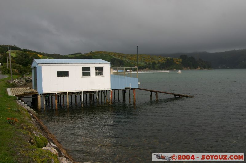 Otago Peninsula
Mots-clés: New Zealand South Island