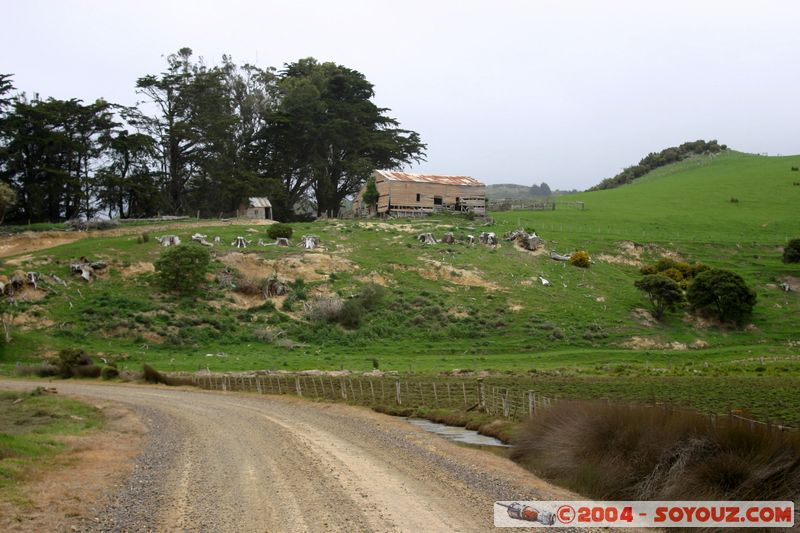 Otago Peninsula
