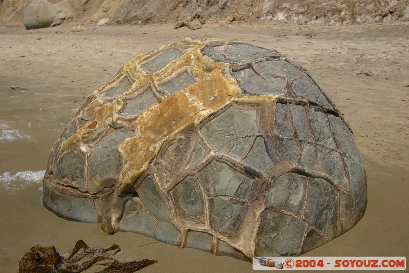 Moeraki Boulders
Mots-clés: New Zealand South Island plage