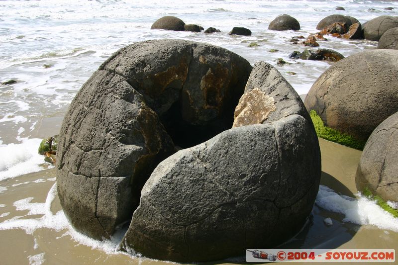 Moeraki Boulders
Mots-clés: New Zealand South Island plage