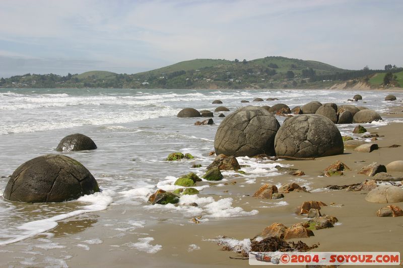 Moeraki Boulders
Mots-clés: New Zealand South Island plage mer