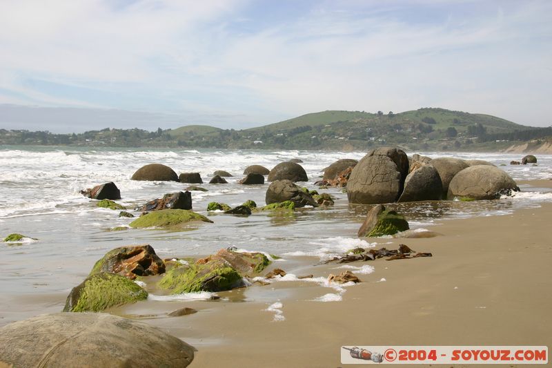 Moeraki Boulders
Mots-clés: New Zealand South Island plage mer