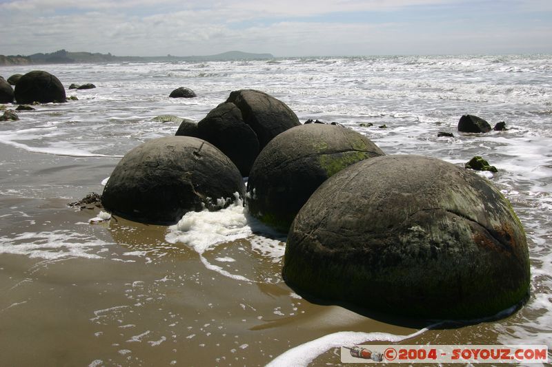 Moeraki Boulders
Mots-clés: New Zealand South Island plage mer